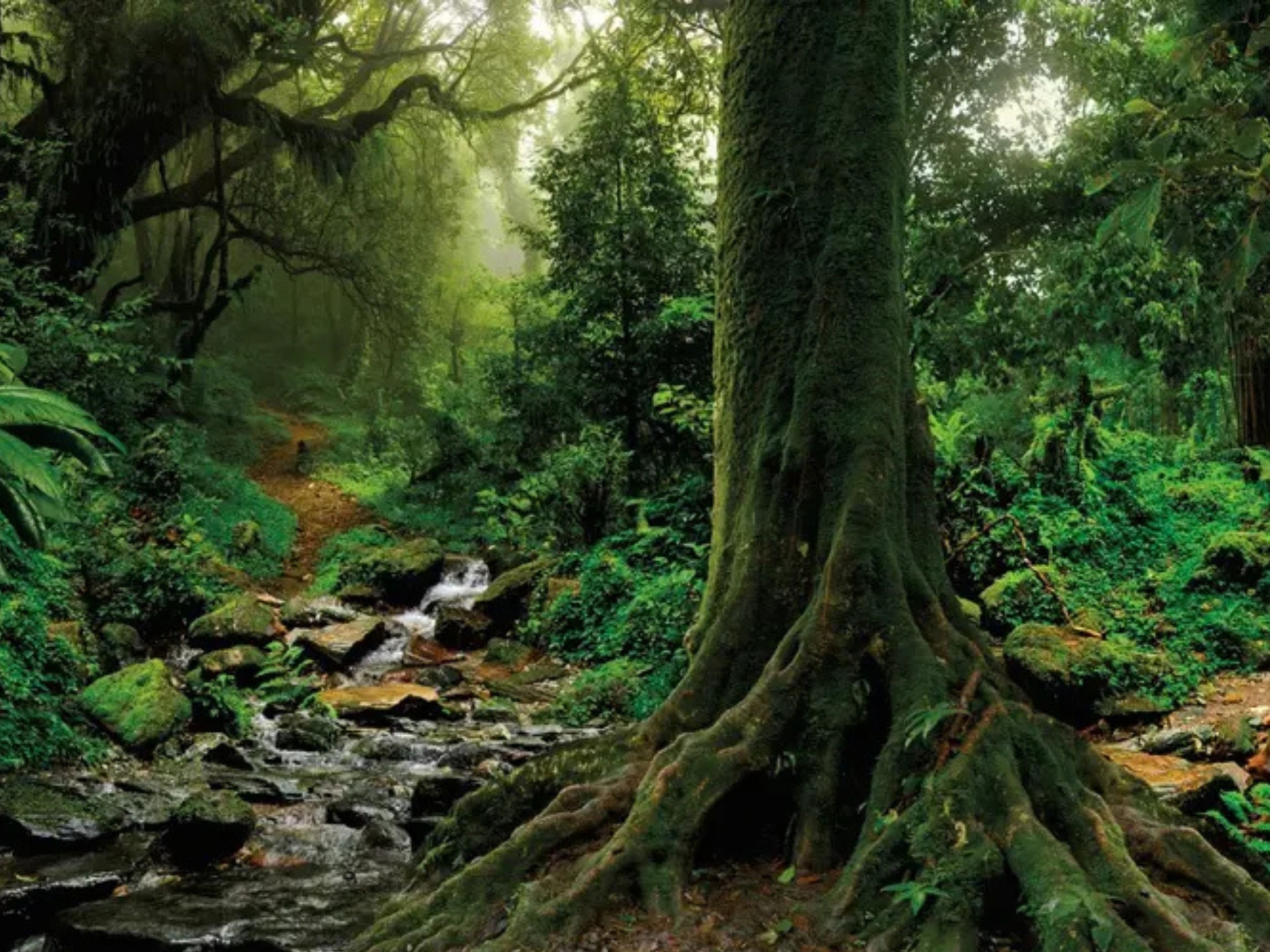 Recent Weather Shows Why Carbon Neutral Restroom Products are Essential