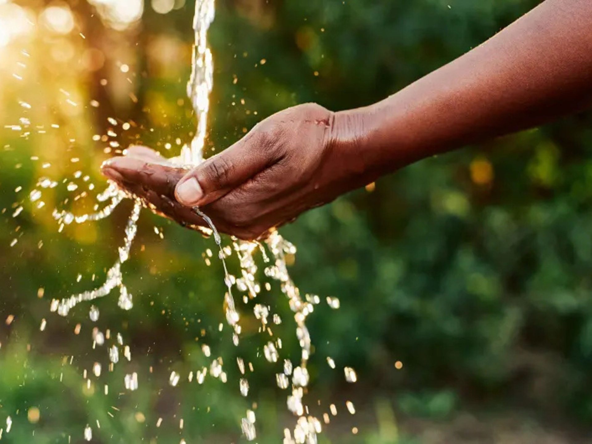 Commercial Restroom Reflections: A Focus on Sustainability